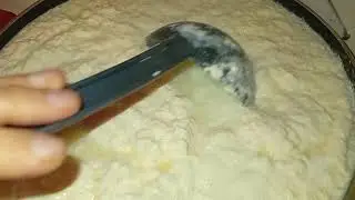 Ailəmin ən sevdiyi ev üsulu Yağlı Pendir (2litr südlə)