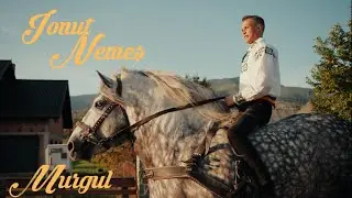 Ionut Nemes - Murgul 🐴 (Official Music Video)