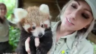 ZooNation TV Ep 2 - Everything you need to know about zoos and aquariums