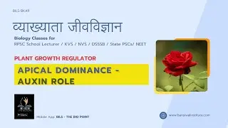 Apical Dominance by Auxin  | Plant Growth Regulators | Plant Physiology Topics