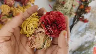 Free Flower Preserving Method | Dry flowers | No Cost | DIY