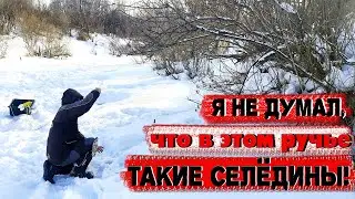 ЗДОРОВЕННАЯ РЫБА в этой речке | ВОТ ЭТО ПОКЛЁВКИ!!!