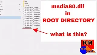 msdia80.dll in ROOT DIRECTORY - what is this?