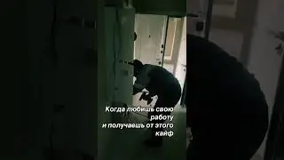 Когда любишь свою работу