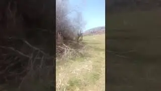 Ahiler çiftliği