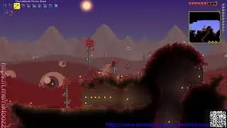 Terraria за призывателя | По босам