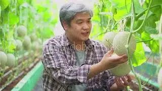 Organic Farming: Krishi Vigyan Kendra is Providing Training to Farmers; Apply Now