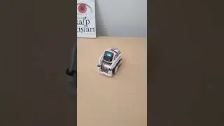 Cozmo Cutter1