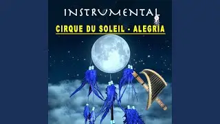 CIRQUE DU SOLEIL ALEGRIA
