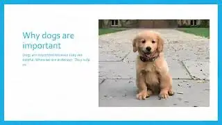 WHY IS DOGS ARE  IMPORTANT