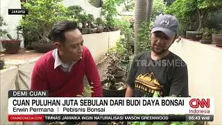 Cuan Puluhan Juta Sebulan Dari Budi Daya Bonsai | REDAKSI PAGI (25/08/24)