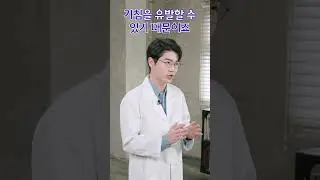 강아지가 자꾸 기침을 한다면? 🐶 이렇게! 👍