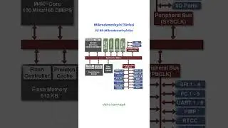 32 Bit Mikrodenetleyiciler  