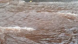 Llueve a cántaros