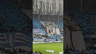 ADS-GS KOREOGRAFİ | TRİBÜN ÇEKİM 🤩