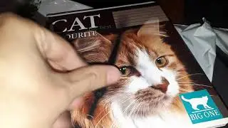 Я купил КНИГУ, и буду саморазвиваться