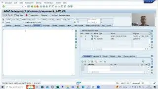 42 - ABAP Programming - String Comparison Operators - NP(Contains No Pattern) Using * and #