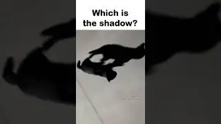 Which one's the shadow?