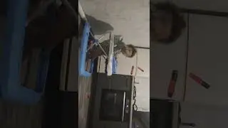 пробный выезд перед гонкой. 😂😂😂