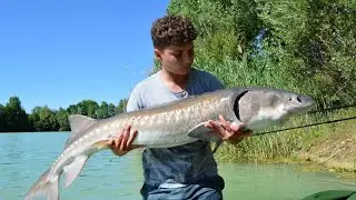 Pêche à la carpe **48H en étang**