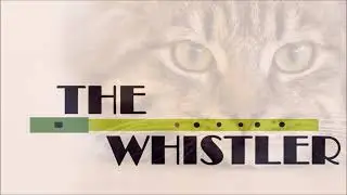 The Cat's Meow (Jig)