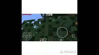 Майнкрафт погоня за лисой😁 жестко ее потерял