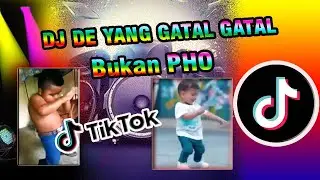 DJ DE YANG GATAL GATAL - Bukan PHO