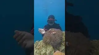 YEYY!!! MAIN LAUT LAGI #karimunjawaisland #laut