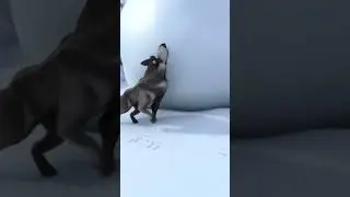 La palla di Natale più grande ❄️ 