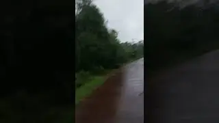 കുട്ടിക്കാലത്തെ ഓർമ്മകളുടെ ഇടവഴികളിൽ കൂടി ഒരു നടത്തം# mazha#nostalgia