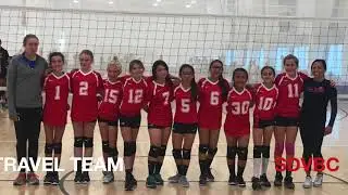 Scarlett - The Volleyball Life