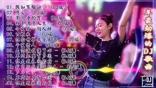 假如有輪迴  -  2023年最劲爆的DJ歌曲 中文舞曲 Chinese Dj Remix  - 21首精選歌曲 超好聽  2023全中文舞曲串烧 全中文DJ舞曲 高清 新2022夜店混音