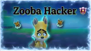 No more Hackers in Zooba