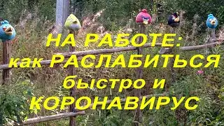 НА РАБОТЕ: как РАССЛАБИТЬСЯ быстро и COVID-19