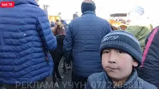 БЭЭ| БАЙТАЛ| ТАЙ БААЛАРЫ 🤯👍🐎 