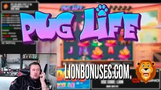 PUG LIFE ★ IT'S NICE ★ VIHISLOTS TWITCH STREAM