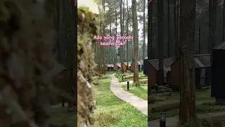 Suasananya bikin kangen