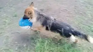 У меня больше нет мячика🏀