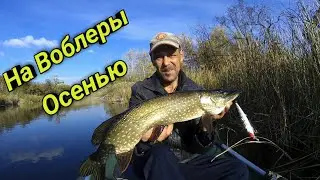 Рыбалка на щуку осенью.Ловля щуки на воблеры. Рыбалка на спиннинг.