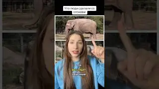 Ce au făcut oamenii cu elefanții? 🐘 