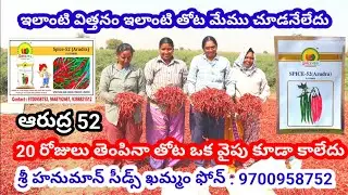 Chilli seeds telugu| Mirapa vithanalu|Mirchi seeds in telugu|Chilli cultivation telugu|Best variety