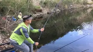 ХЕРАБУНА САЗАНЧИКИ