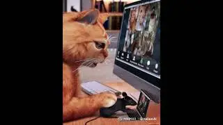 Hailuo AI Video Generator - Daz 3D to Image to video Experiment - Remote Mouse