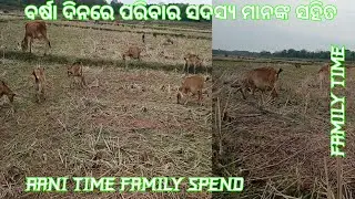 ବର୍ଷା ଦିନରେ ପରିବାର ସଦସ୍ୟ ମାନଙ୍କ ସହିତ!! RANI TIME FAMILY SPEND!! @sktubeodia3117