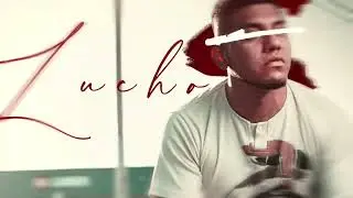Animated Album Cover / Visualizer - After effects -  ShowReel