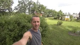 Копчёные свинные рёбрышки.Коптим на природе.