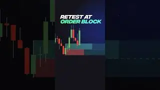 Best FREE Order Block Indicator on TradingView