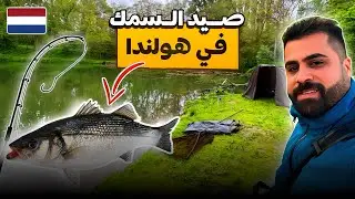 تحدي صيد السمك في انهر صغيرة