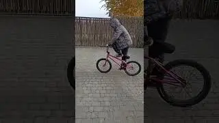 учу фуджем вип