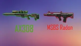 Warface:AX 308 & MSBS Radon